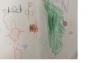 Bruno Obregon Santiago. 4 anys