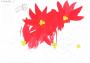 Marc Sarraseca Julian. 11 anys